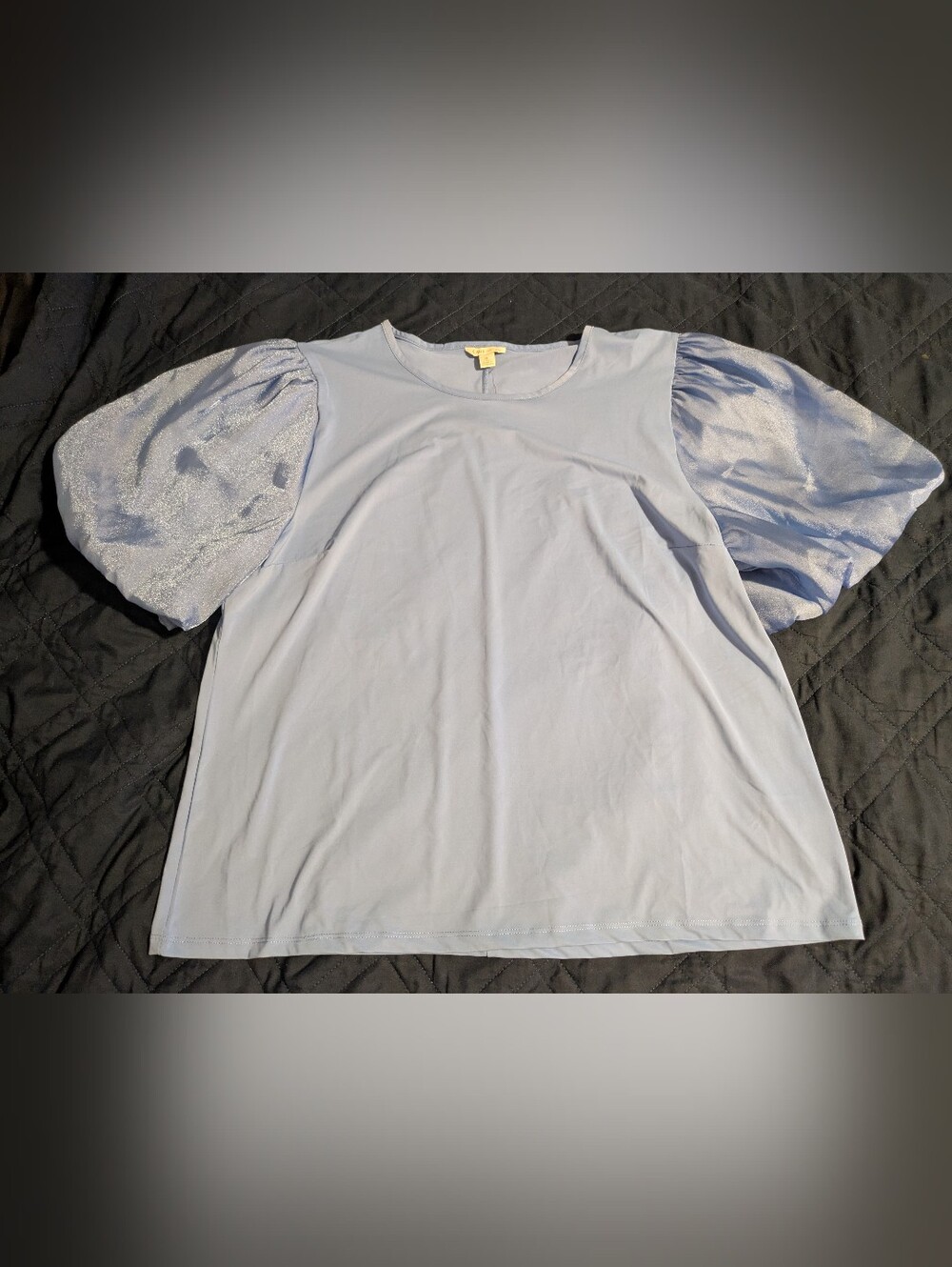 Light Blue Puff Sleeve Women's Top